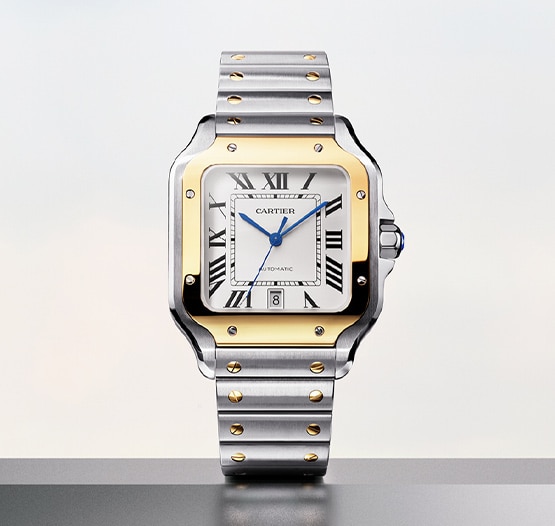 Cartier About Image Cartier About Image