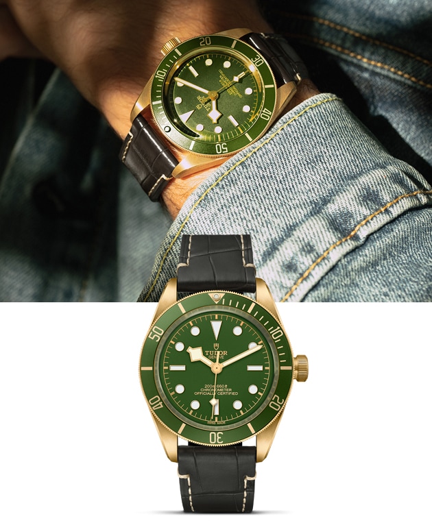 Tudor Black Bay